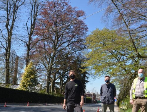 Peter Vosters van Boomhelden installeerde de eekhoornbrug over de N8